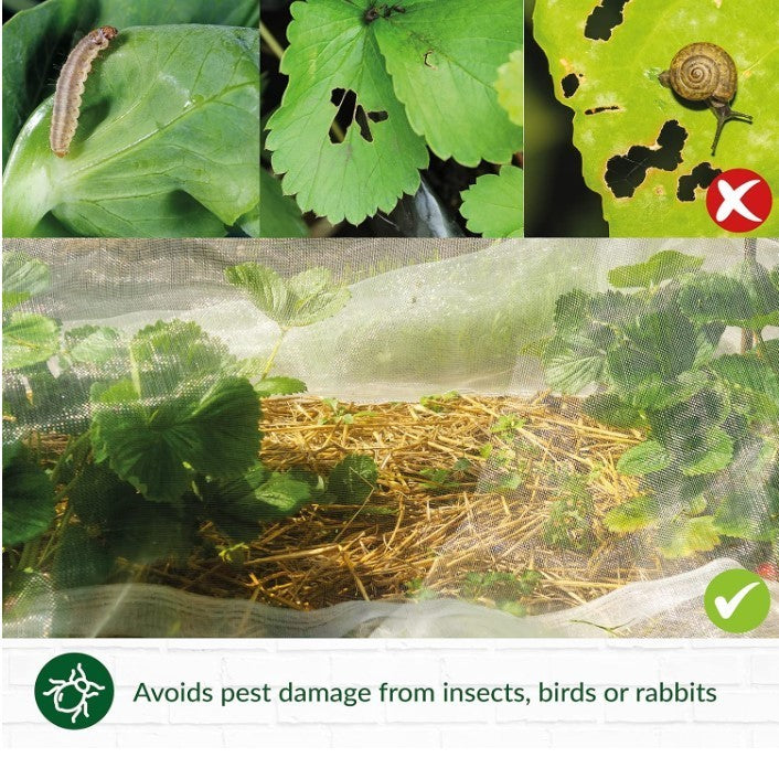 Garden Fleece 2m x 5m Plant Protection Frost Cover Horticultural Crop Insulation