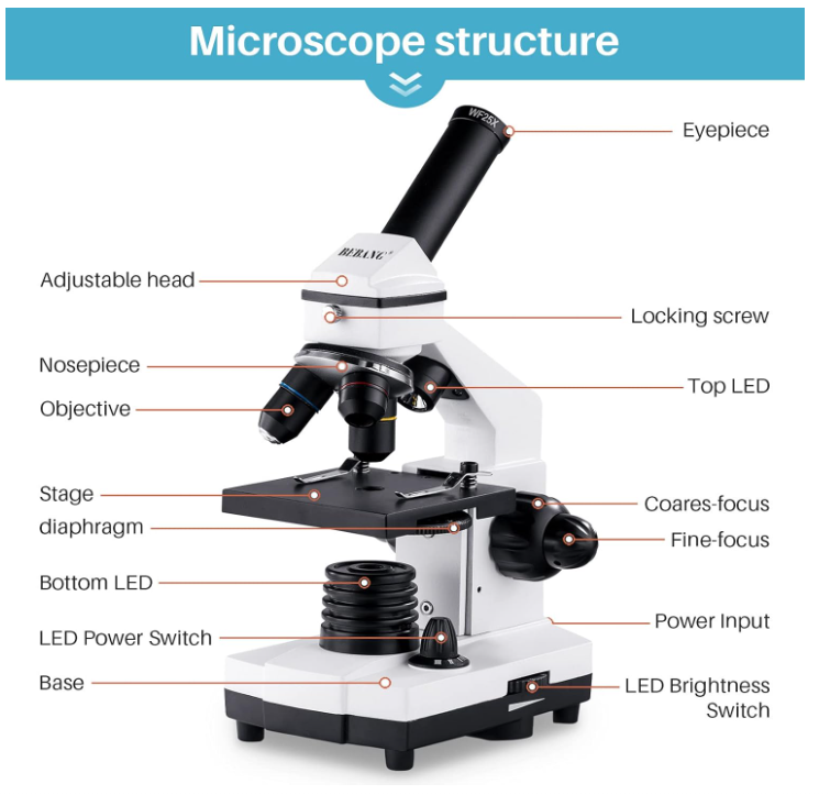 Microscope Kit Biological Compound Student Kids Adult Lab School Science-239