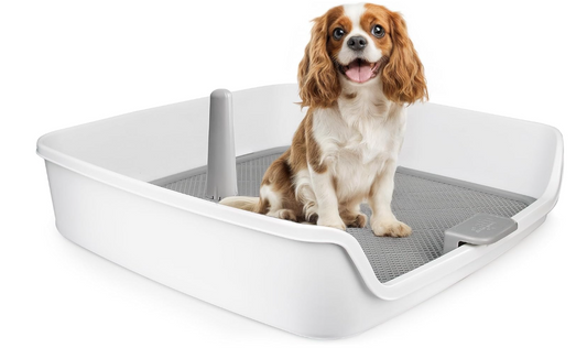 Dog Potty Tray 63x63cm Indoor Pee Pad Holder with Post Mesh Grid Training-41
