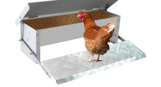 Rat Proof Treadle Chicken Feeder Without Waste Design Automatic Chicken-307